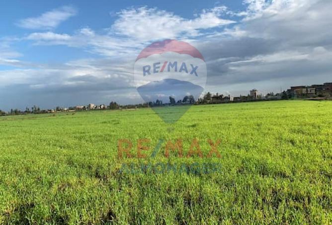 8450439 - الصورة الرئيسية للعقار