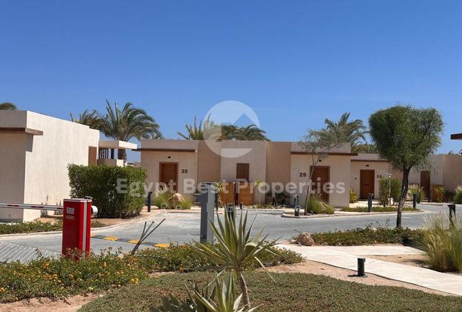 8674698 - Property Image 3