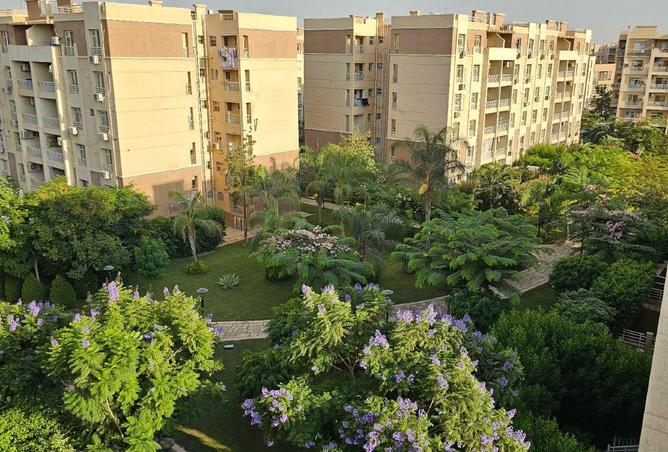 8555819 - صورة العقار 3