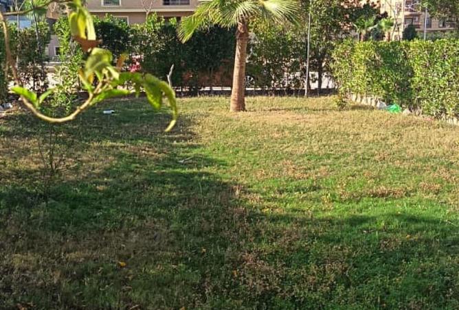 68536404 - Property Image 2