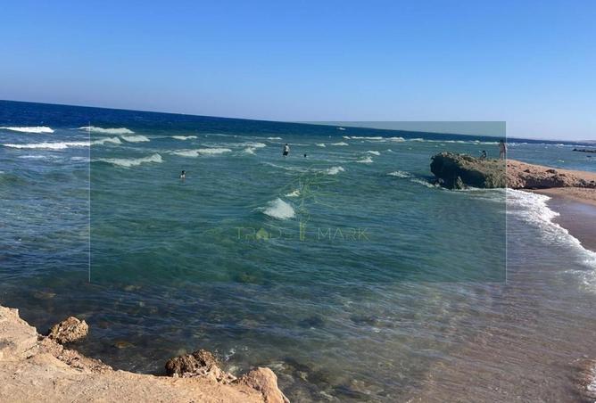 64901039 - صورة العقار 3