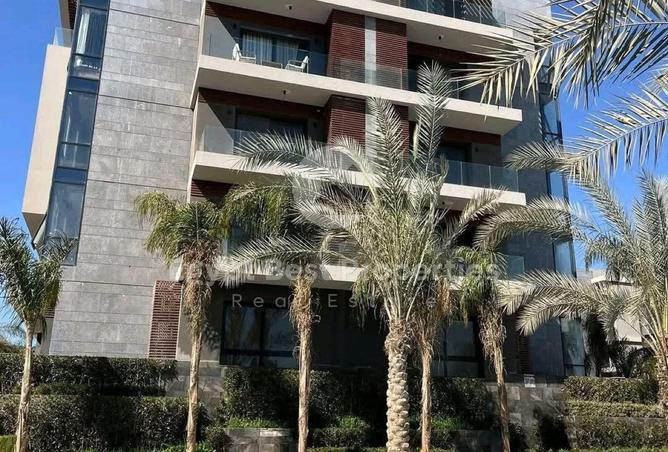 8695417 - Property Image 3