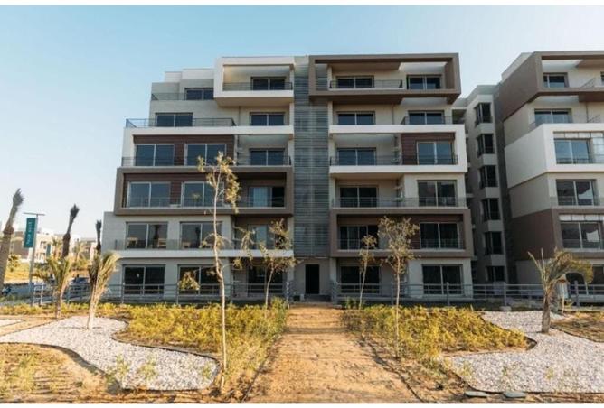 55806173 - Property Image 3