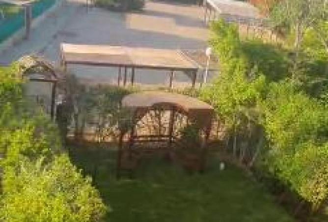 65411888 - Property Image 3