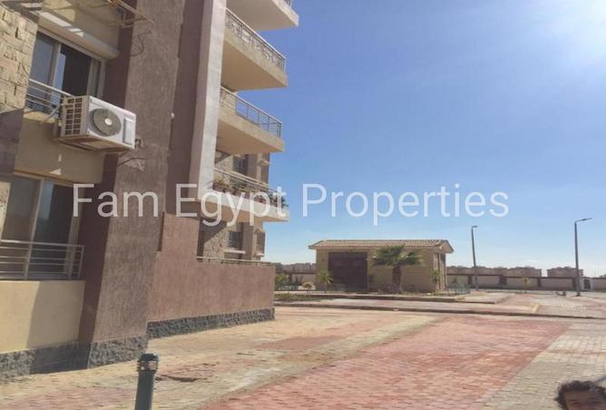 65155648 - صورة العقار 3