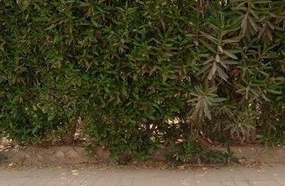Apartment - 2 Bedrooms - 1 Bathroom for rent in Al Mostakbal - 12th District - Sheikh Zayed City - Giza