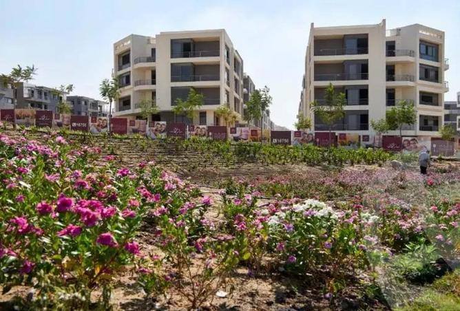 59234359 - صورة العقار 3