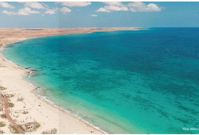 59497817 - صورة العقار 3