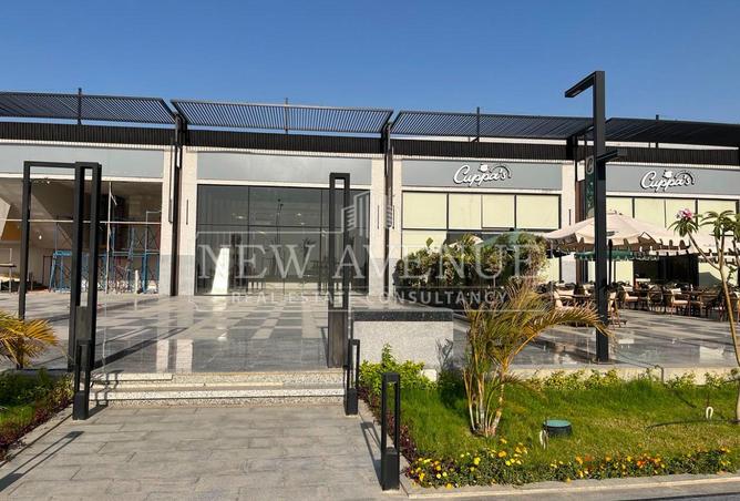101768369 - صورة العقار 3