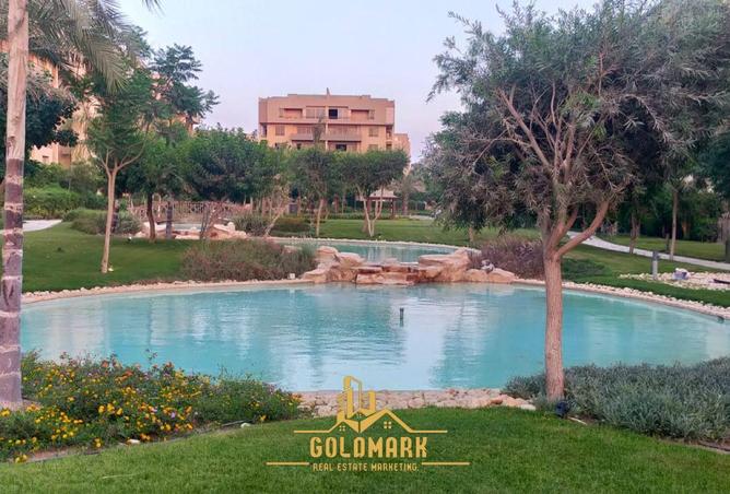 8717387 - صورة العقار 2