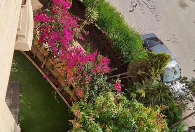 8653299 - صورة العقار 2