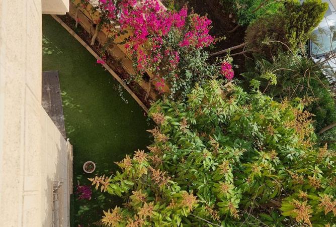 8653299 - الصورة الرئيسية للعقار