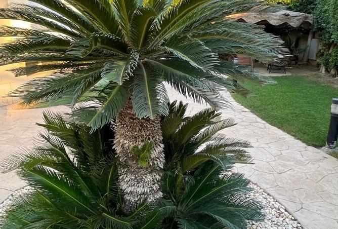108514764 - صورة العقار 2