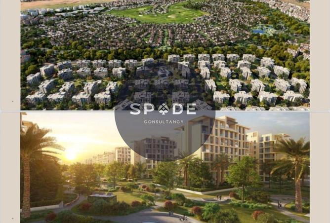 66436774 - Property Image 3