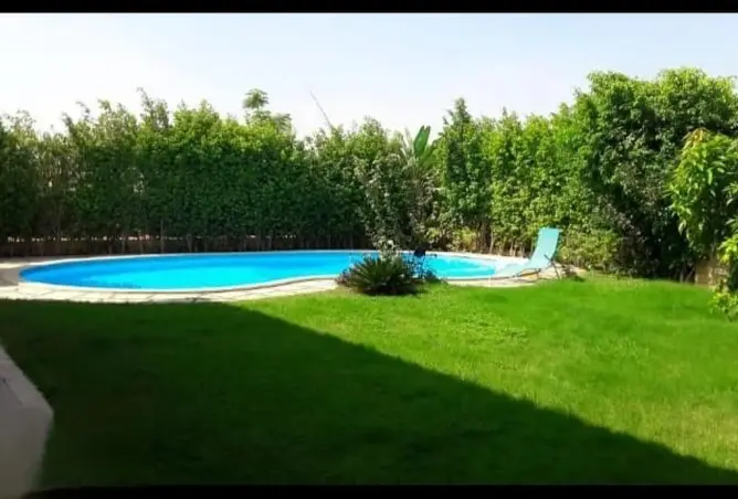 116231201 - صورة العقار 2