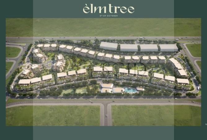 74318751 - Property Image 3