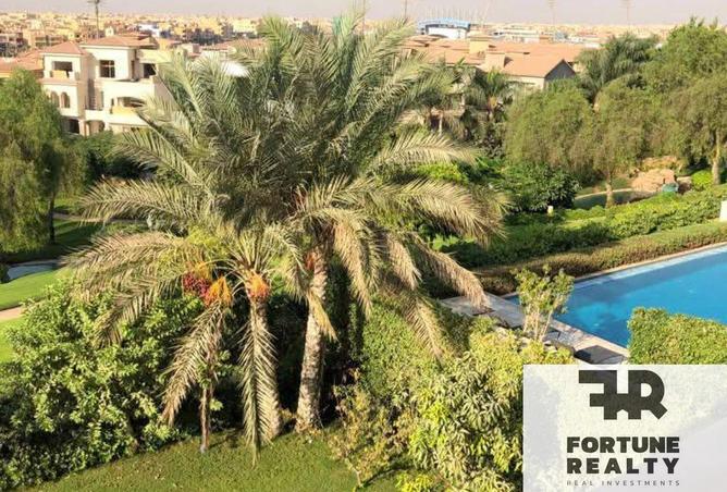 8519220 - Property Image 3