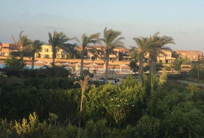 57496076 - صورة العقار 3