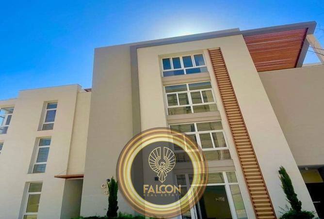 60953460 - Property Image 3