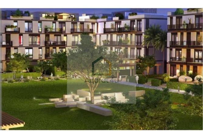 8701442 - صورة العقار 3