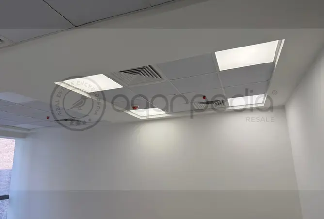 117017422 - Property Image 3