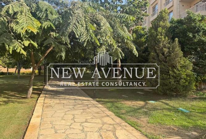 68267756 - Property Main Image