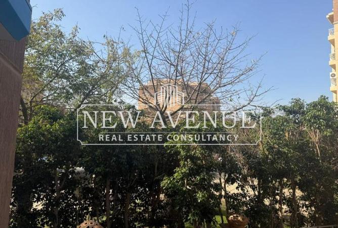 68267756 - Property Image 3