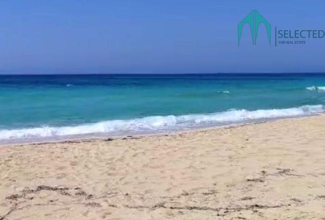 8503904 - صورة العقار 3