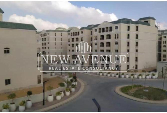 53974899 - صورة العقار 3