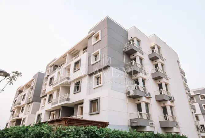 118804734 - Property Image 3