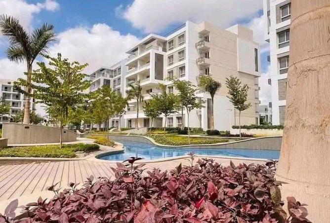 54235181 - Property Image 3