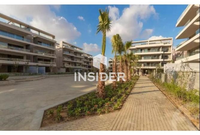 68007099 - Property Image 3