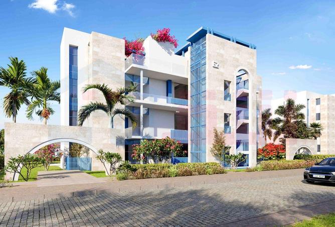 67471346 - Property Image 2