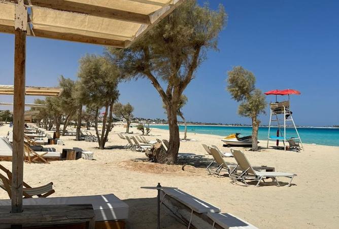 104880387 - صورة العقار 3