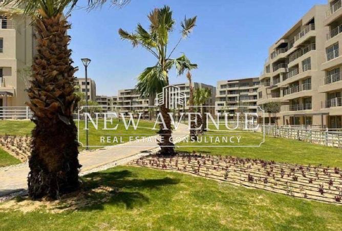 73492165 - Property Image 3