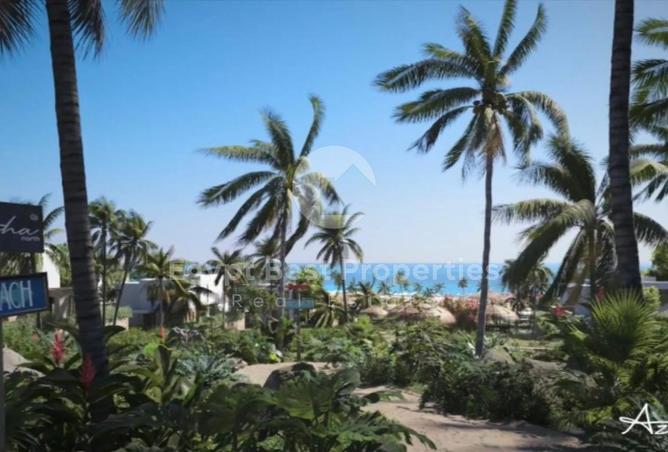 99392217 - صورة العقار 2