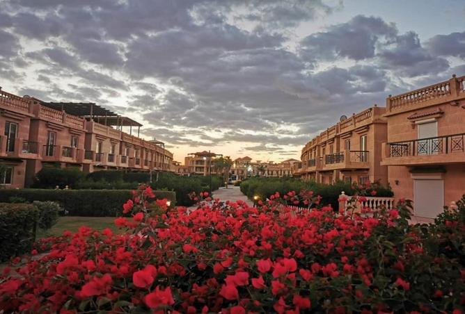 67214886 - الصورة الرئيسية للعقار