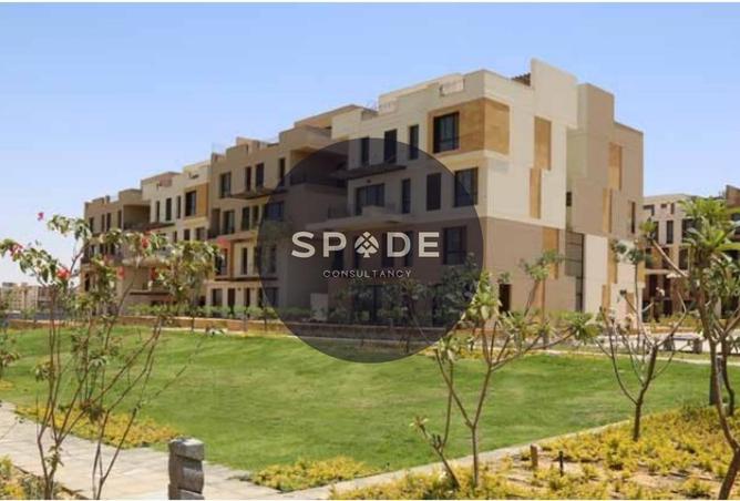 68261616 - Property Image 3