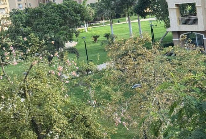 78135669 - صورة العقار 3