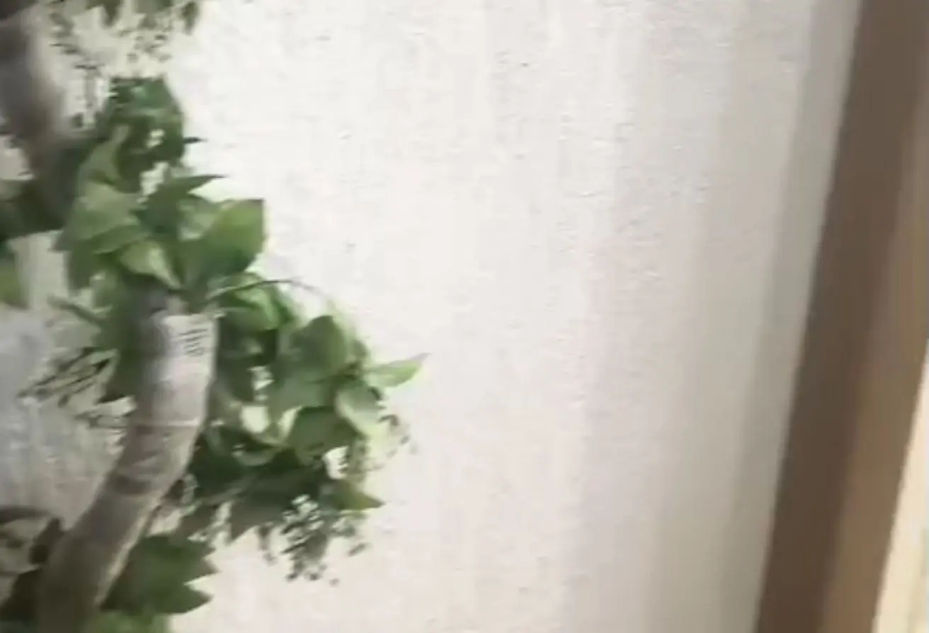 113522028 - الصورة الرئيسية للعقار