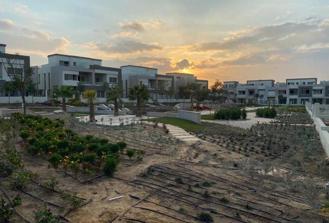 8694084 - Property Image 3