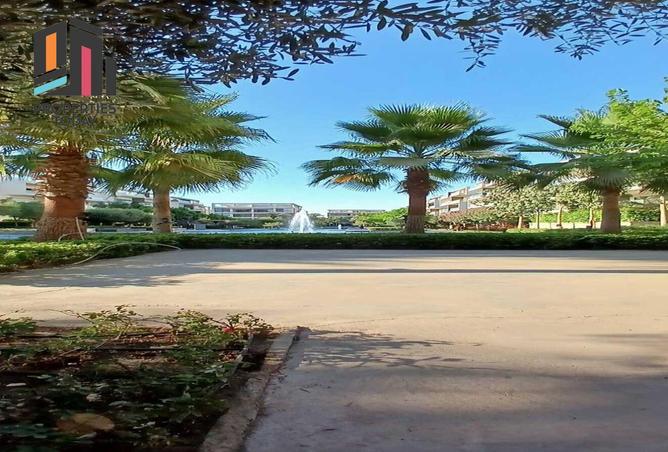 70358128 - صورة العقار 3