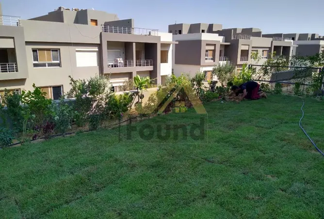 117523402 - Property Image 3