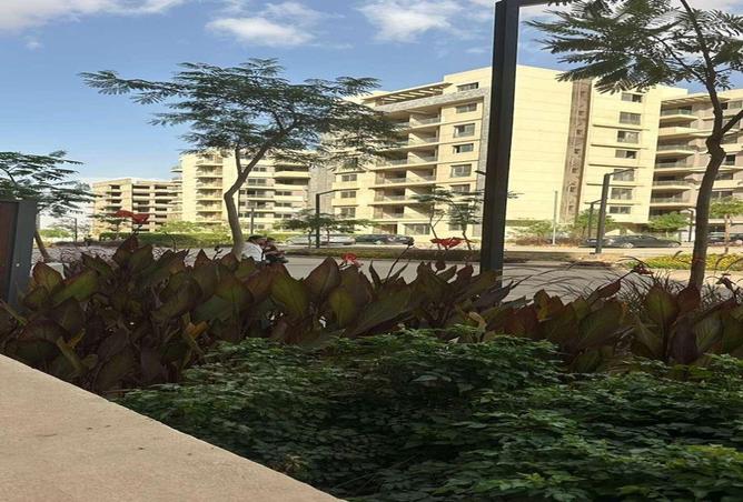 70361969 - الصورة الرئيسية للعقار