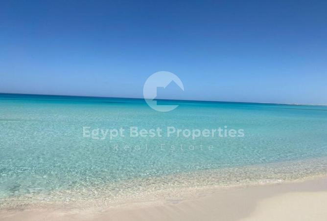 84789847 - صورة العقار 2