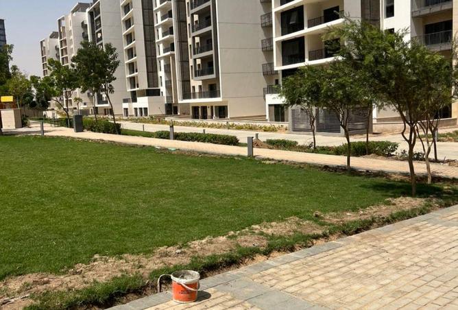 53726035 - Property Image 2