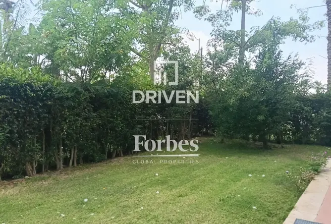 118292525 - Property Image 3