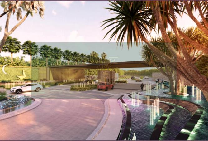 64893829 - Property Image 3