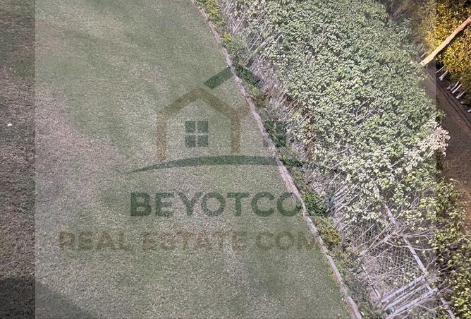 59487327 - Property Image 3