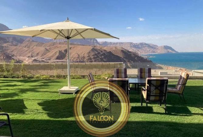 55806768 - صورة العقار 2